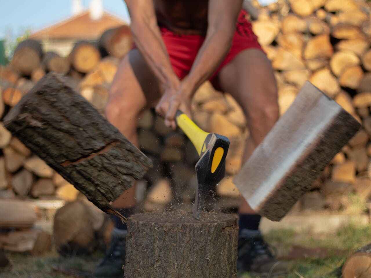 Tree Removal for Businesses in Freeport, FL